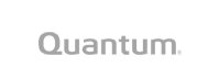 quantum logo grey